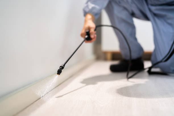 Rodent Entry Point Assessment in North Fort Lewis