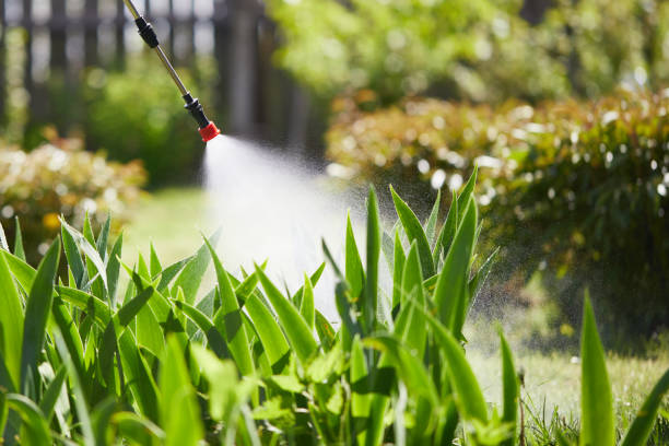 Tamper-Resistant Bait Stations for Rodents in North Fort Lewis