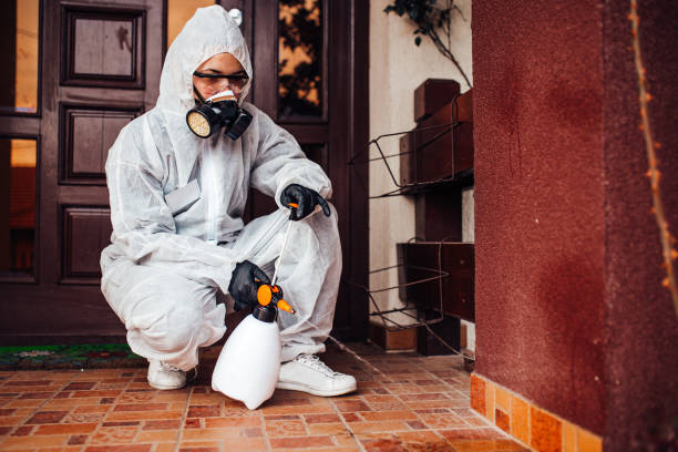 Attic and Crawl Space Rodent Treatment in North Fort Lewis